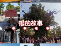 -大槐树寻根祭祖园