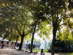 操场-曲阜师范大学(曲阜校区)