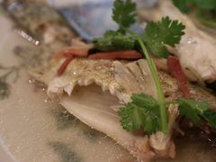 清蒸本湾鳜鱼-壹零贰小馆(桂城石啃店)