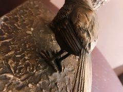 灯-上海崇明金茂凯悦酒店