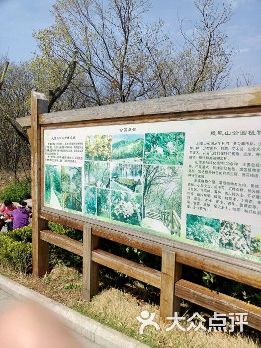 凤凰山公园-图片-烟台周边游-大众点评网