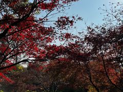 -苏州上方山国家森林公园