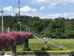 -武吉知马自然保护区