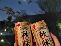 -星乐度·露营小镇