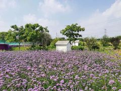 -上海杨姆庄园