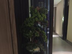-见康道莱•足浴按摩•艾灸•SPA(友谊店)