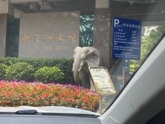 -鲤鱼洲酒店港鲤咖啡厅