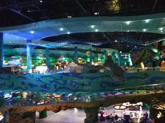 -青岛嘉年华主题乐园