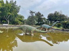 -自贡恐龙博物馆