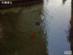 -泉乐坊步行街(烟酒特产平价超市店)