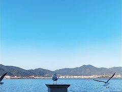 -海埂大坝