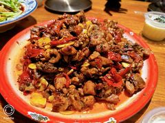 -柴窝堡22号辣子鸡·传承新疆菜