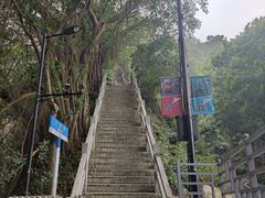 -广州市白云山风景名胜区