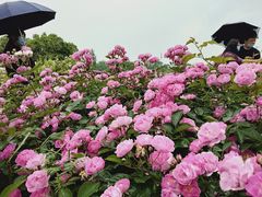 -尚贤河湿地