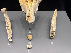-贵州省博物馆(新馆)