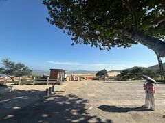 -普陀山风景名胜区-千步大沙