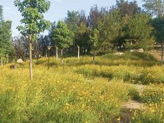 -吉庆街美食广场