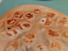 角瓜鸡蛋虾仁煎饺-添福来墨鱼饺子 · 海鲜东北菜(大连星海·黄浦路店)