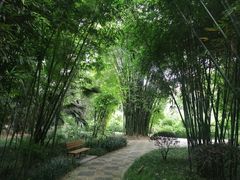 -望江楼公园