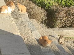 -四门塔风景区