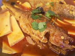 黄鱼烧豆腐-福苗小骆驼烧烤(莲湖路店)