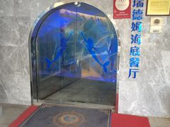 -瑞德姆美人鱼海底演艺主题餐厅(亚龙湾店)
