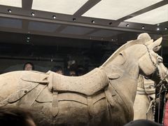 -秦始皇帝陵博物院(兵马俑)