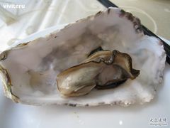 蚝-海岛渔村大酒店(云霄路店)