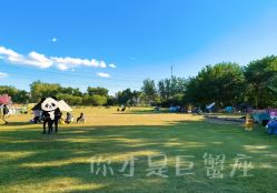 点击看大图 -268童话露营营地·烧烤·团建
