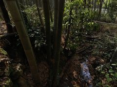 -法云古村