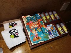 -广州长隆国际大马戏