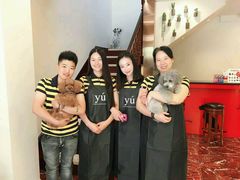 -多卡布奇宠物生活馆(上林世家店)