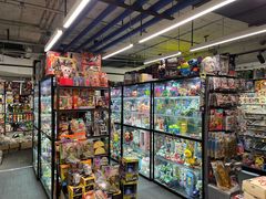 -seed station 中古玩具店(北投购物店)