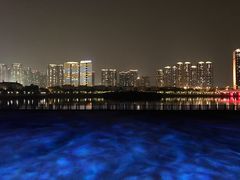 -五缘湾湿地公园