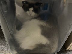 -零纪元VR体验馆·桌游(黄浦店)
