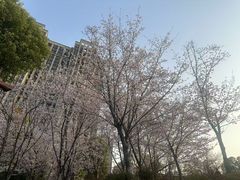 -堤角公园