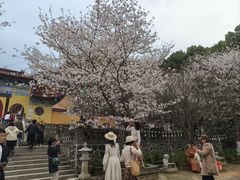 -天花井景区