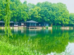 -东湖生态旅游风景区