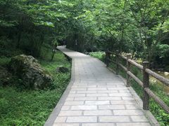 -牛背梁国家森林公园