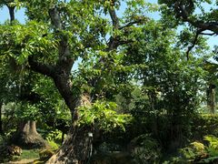 -Chom Cafe and Restaurant