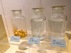 -河南自然博物馆