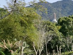 -深圳仙湖植物园