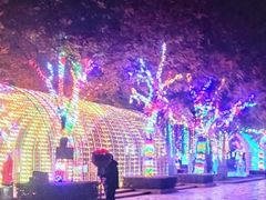 -秋水广场音乐喷泉