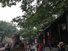 -三大炮豆花铺(锦里店)