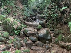 -木兰云雾山