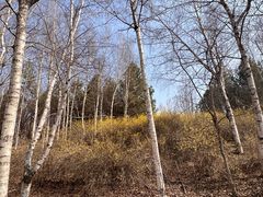 -长春世界雕塑园冰雪艺术天地