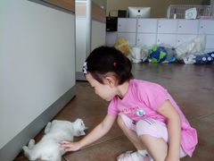 -青春加萌照相馆