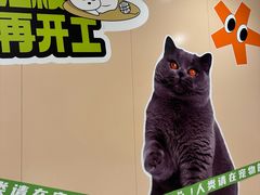-凯德MALL(望京店)