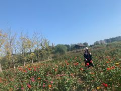 -西海岸生态观光园