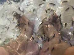 -水晶之星洗浴温泉汗蒸